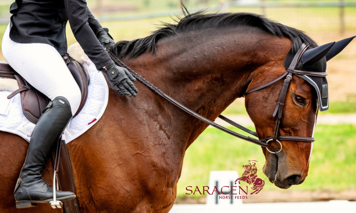 ENDURO-PERFORMANCE - Saracen Horse Feeds