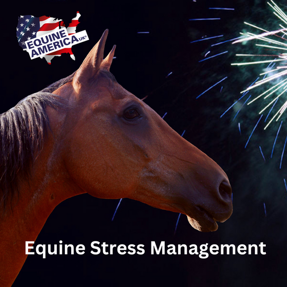 Keeping Your Equine Friends Calm During Fireworks 🐴🎆
