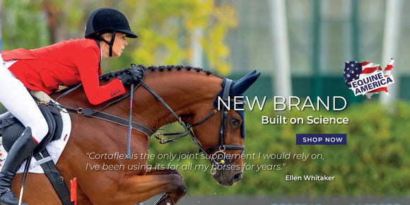Equine America Cortaflex in UAE