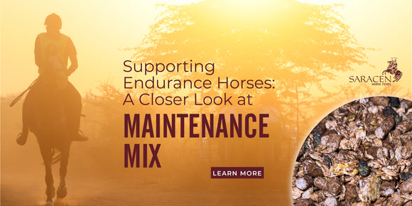Saracen Horse Feeds Maintenance Mix 
