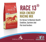 SARACEN RACE 13®